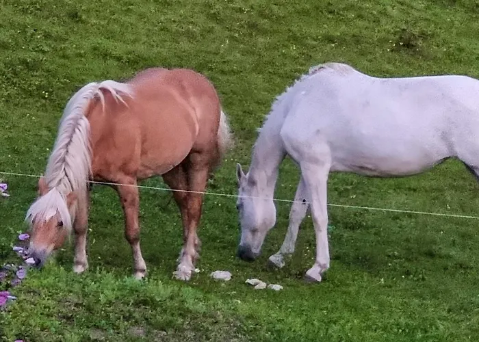 Дом отдыха Rustico Giuly Чивенна