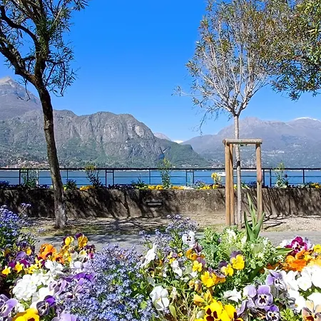 Rustico Giuly Tatil Evi *