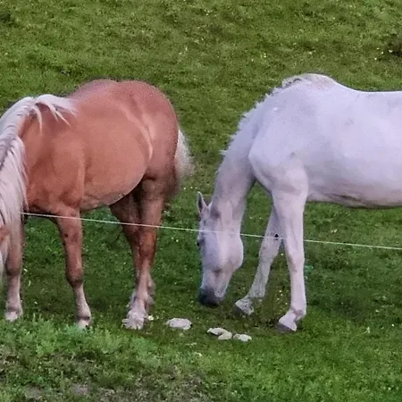 Tatil Evi Rustico Giuly Civenna