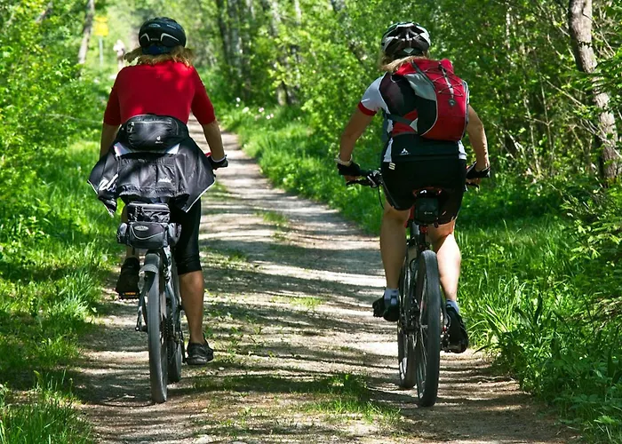 Rustico Giuly * 奇文纳